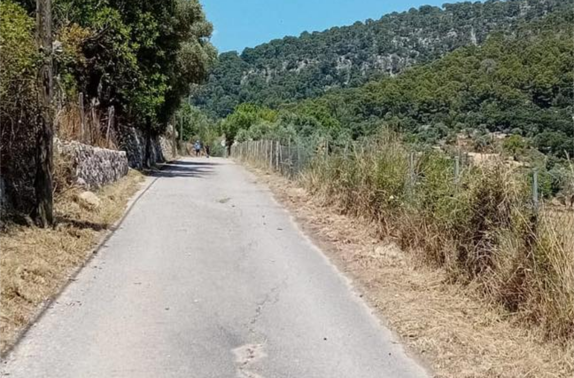 Portada Millora i neteja dels camins del municipi de Selva
