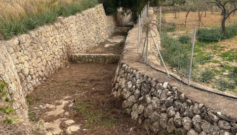 Portada Manteniment i millores a Biniamar
