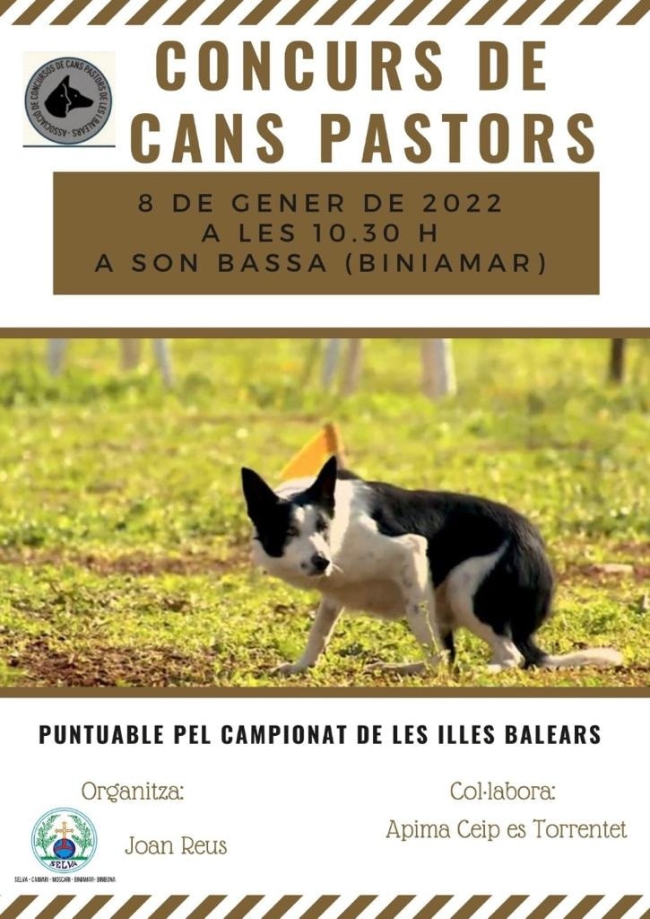 Concurs cans pastors
