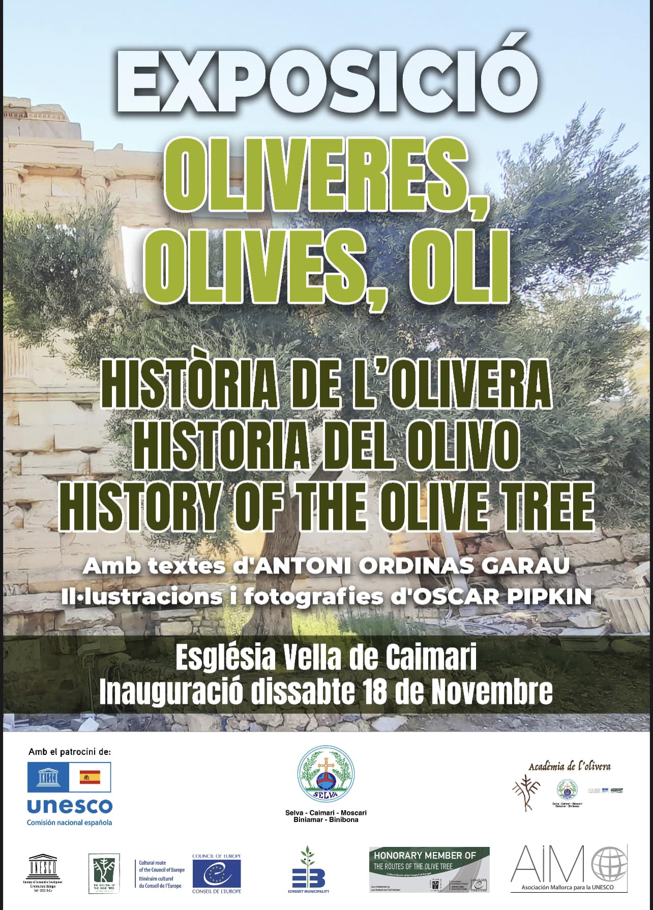Exposició oliveres, olives i oli