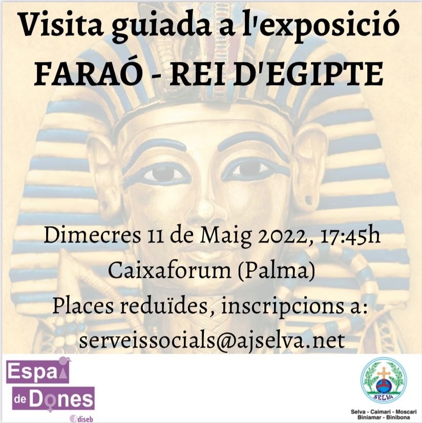 Visita guiada l’exposició FARAÓ-REI D’EGIPTE