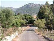 Imatges del poble - Moscari 10