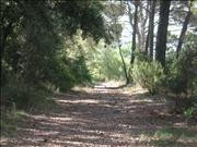 Imatges del poble - Moscari 11