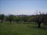 Imatges del poble - Moscari 6