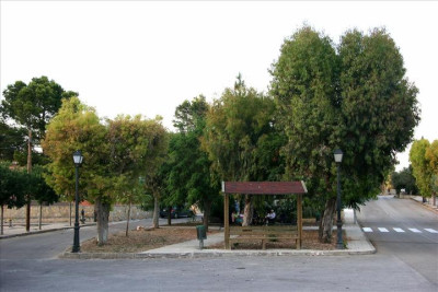 Biniamar9