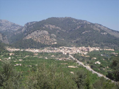 Imatges del poble - Caimari 1