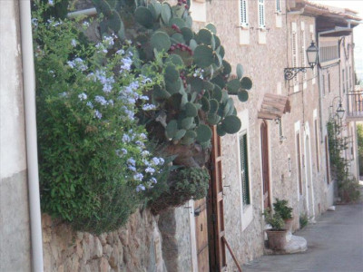 Imatges del poble - Caimari 2