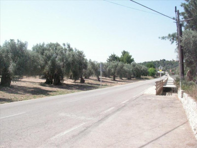 Imatges del poble - Caimari 3