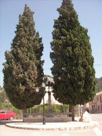 Imatges del poble - Caimari 5