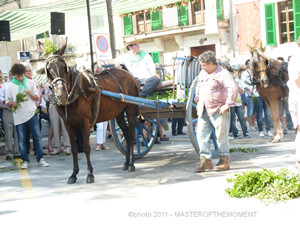 Fira de Ses Herbes 56