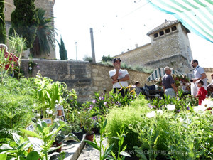Fira de Ses Herbes 53