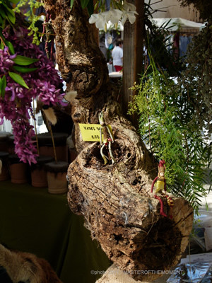Fira de Ses Herbes 48