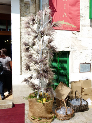 Fira de Ses Herbes 15
