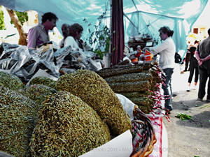 Fira de Ses Herbes 10