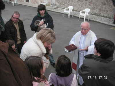 Fotos Foguerons de Sant Antoni 2009 1