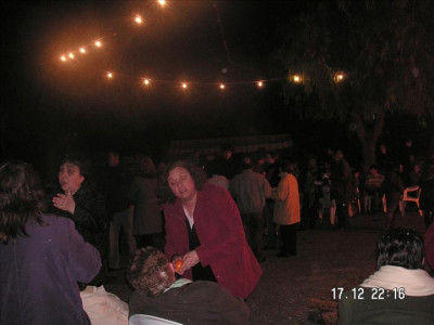 Fotos Foguerons de Sant Antoni 2009 2
