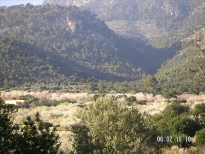 Imatges del poble 2