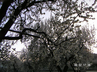 Imatges del poble 10