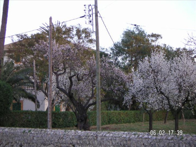 Imatges del poble 17