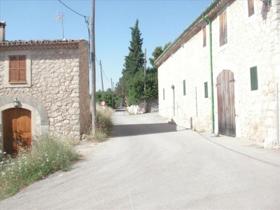 Binibona 7