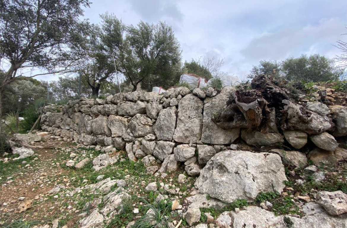 Portada ARQUEOSELVA - Segona Intervenció Arqueològica al Turó Fortificat de Crist Rei