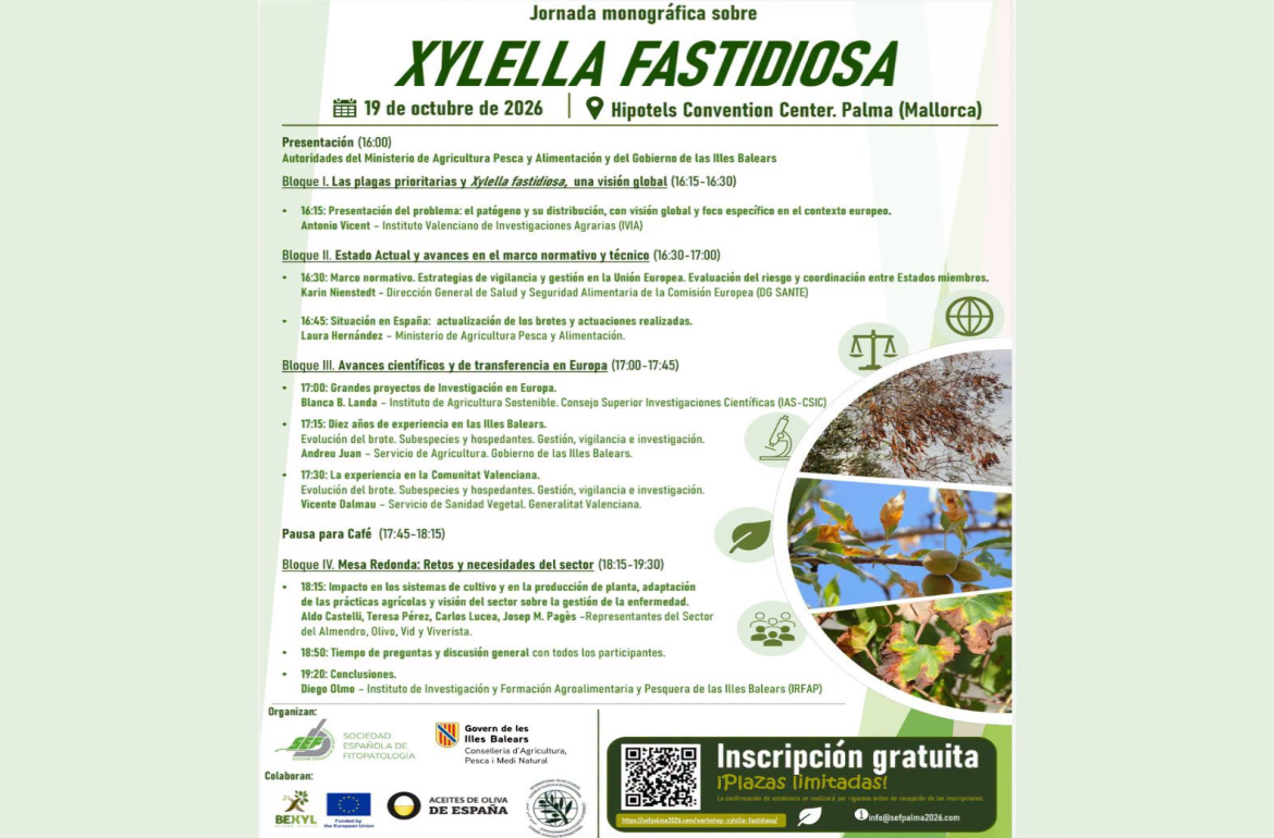 Portada Jornada monogràfica sobre XYLELLA FASTIDIOSA