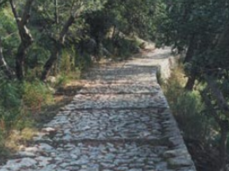 Camí Vell de Lluc 