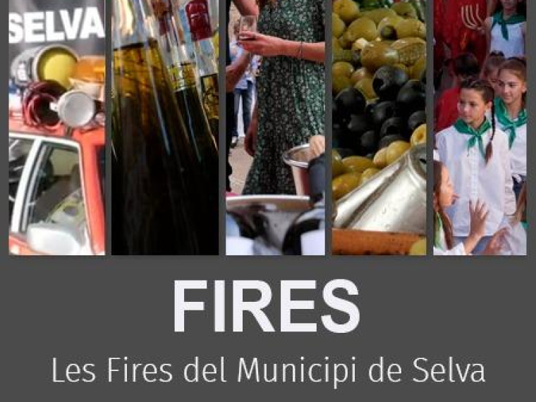Fires del Municipi