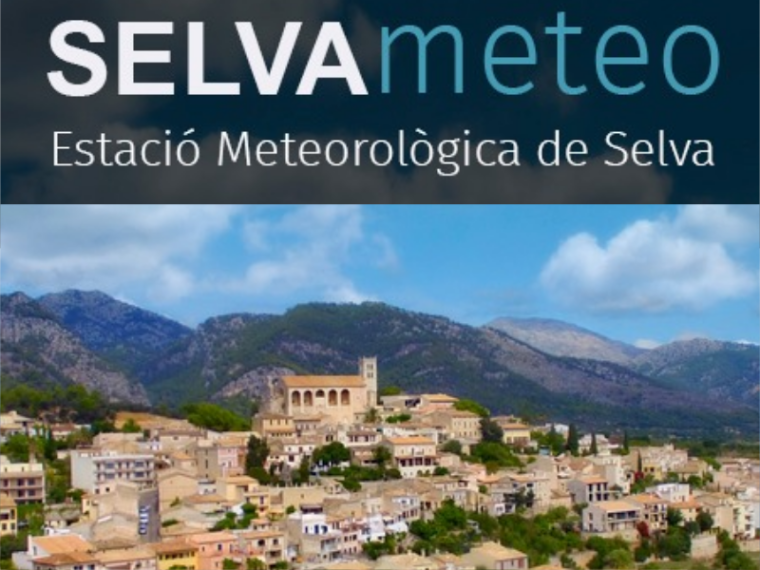 El temps a Selva