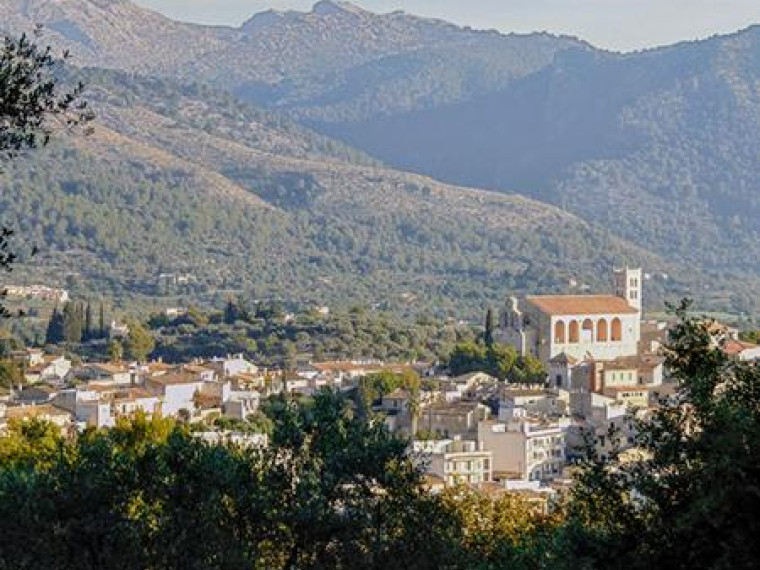 Visit Selva