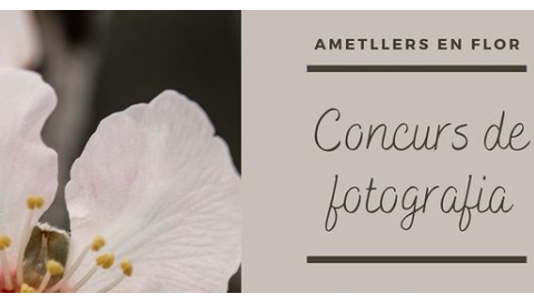 Guanyadors concurs de fotografia "ametllers en flors"