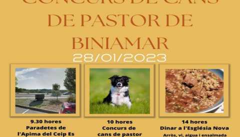Portada Concurs de cans de pastor de Biniamar