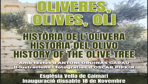 Portada Exposició oliveres, olives i oli