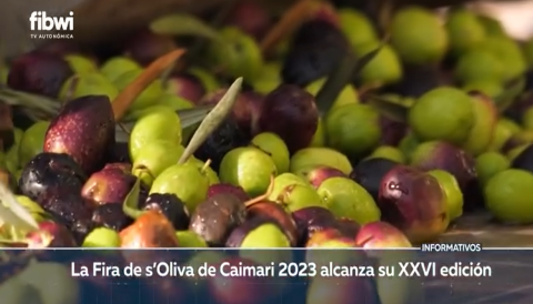 Portada Fibwi TV - Celebració de la tradicional Fira de s'Oliva a Caimari