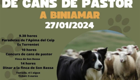Portada IV Concurs de cans de pastor a Biniamar