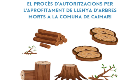 Portada L'ajuntament de Selva continua amb el procès d'autoritzacions per l'aprofitament de llenya d'arbres morts a la comuna de Caimari