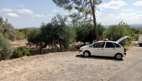 Portada L'Ajuntament de Selva realitza tasques de neteja a l'entorn del cementeri i del torrent de Biniamar